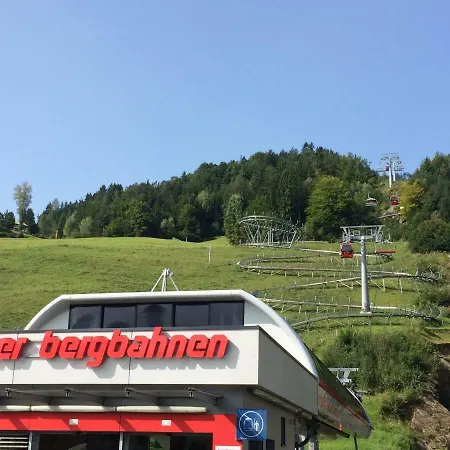 Schusternagele *