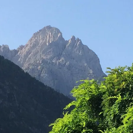 Schusternagele * Amlach (Lienz)