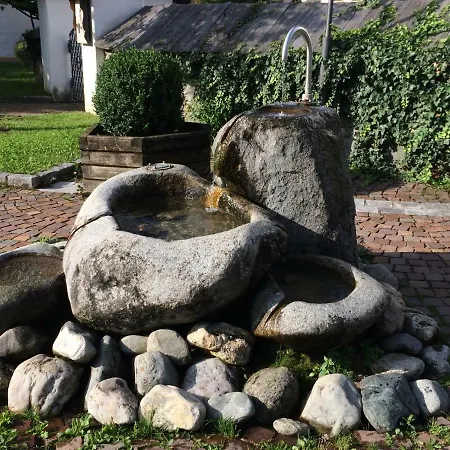 Schusternagele *