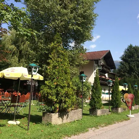 Schusternagele