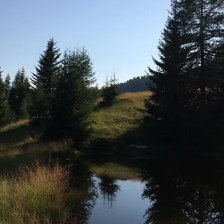 Schusternagele Amlach