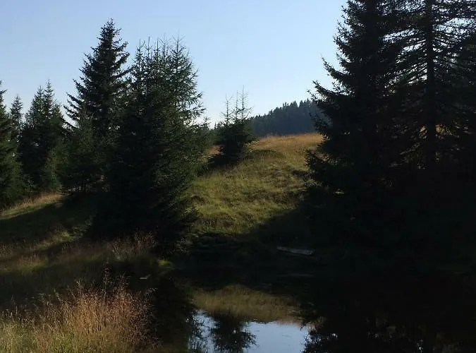 Schusternagele Amlach (Lienz)