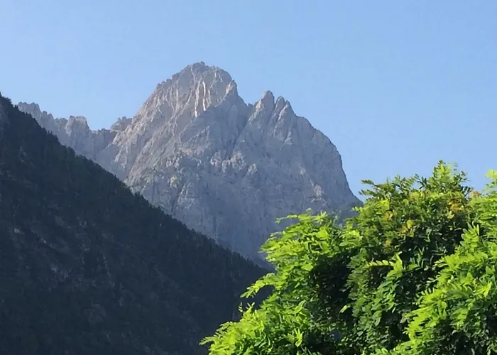 Schusternagele * Amlach (Lienz)